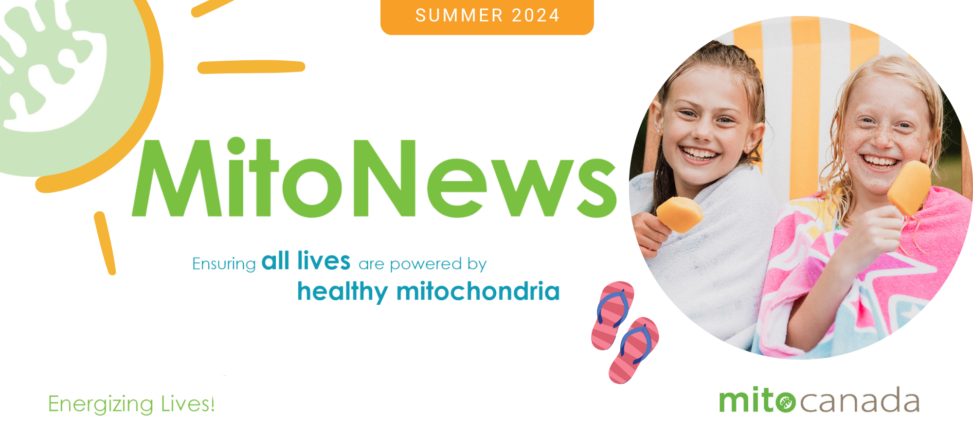 MitoNews Summer 2024 Part 2 Banner MitoNews Summer 2024 Part 2 banner