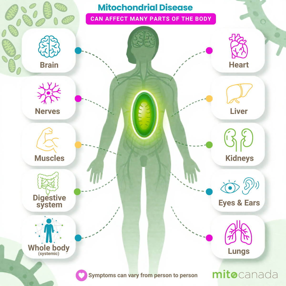 Mito Affected Body Systems